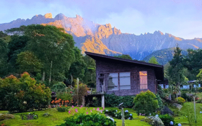 Spring Garden Kundasang: Sabah’s Floral Escape Awaits