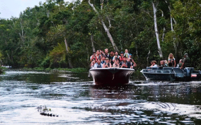 Sukau Rainforest Lodge: Borneo’s Top Nature Retreat