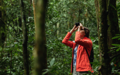 Jungle Trekking Sabah: Explore Borneo’s Rainforest Gems