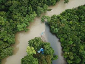 bot river cruise di Sungai Kinabatangan