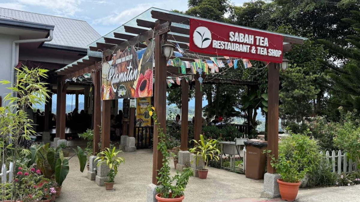 Ladang teh Sabah Tea Garden berhampiran Ranau